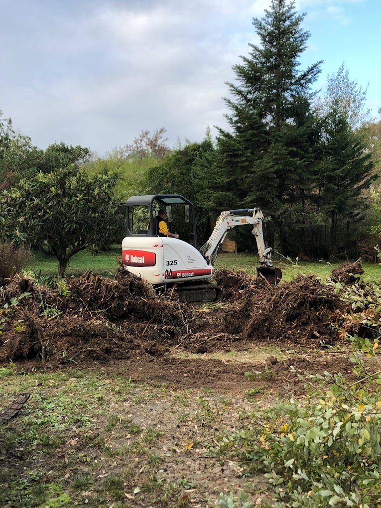 Débroussaillage et nettoyage de terrain à la mini-pelle en Gironde
